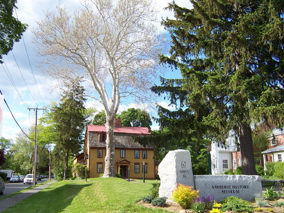 Amherst History Museum